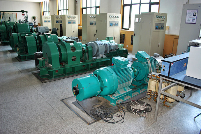 英州镇某热电厂使用我厂的YKK高压电机提供动力